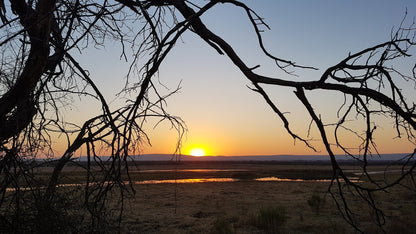  Vogelfontien Bird Hide