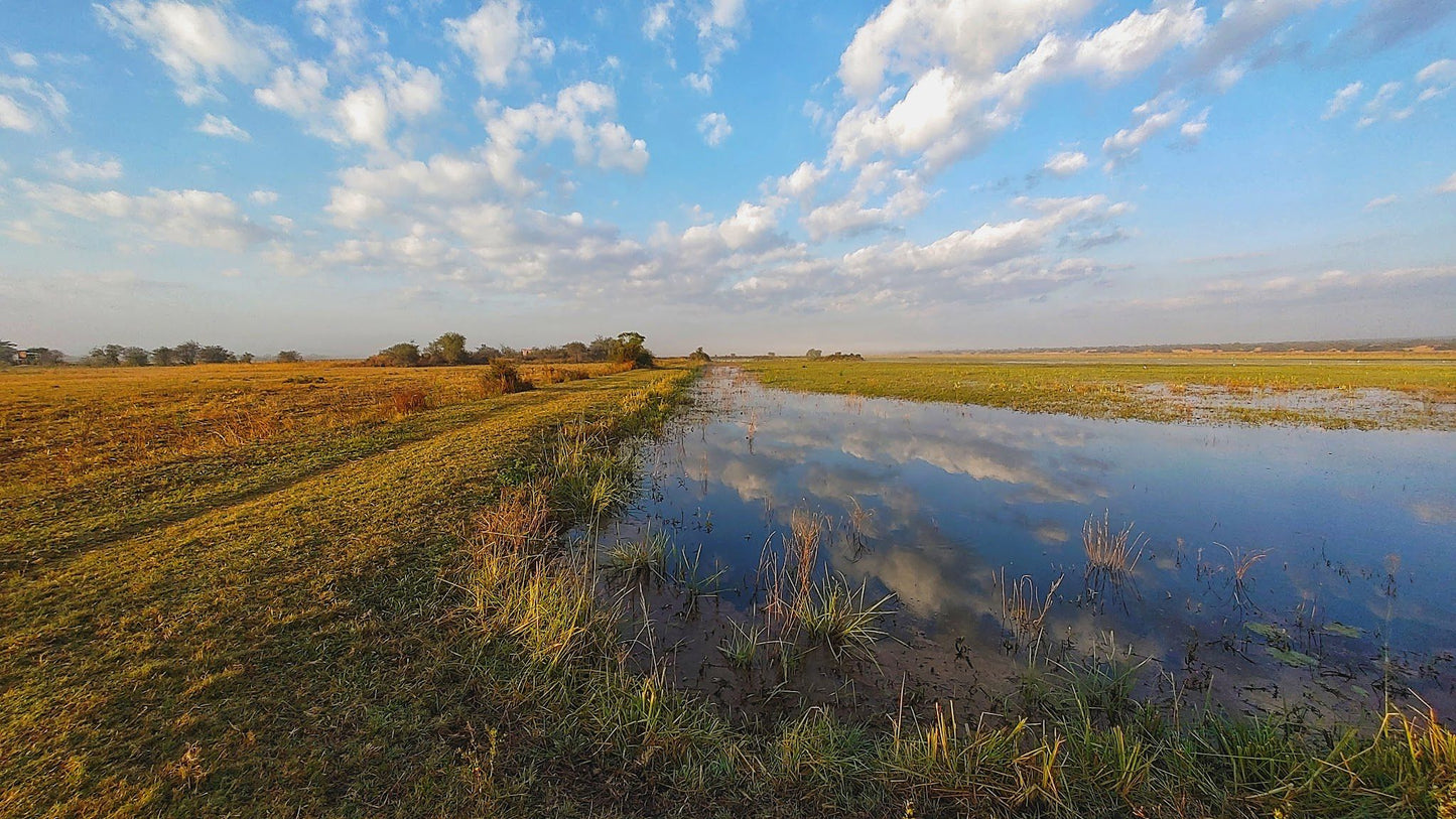  Vogelfontien Bird Hide