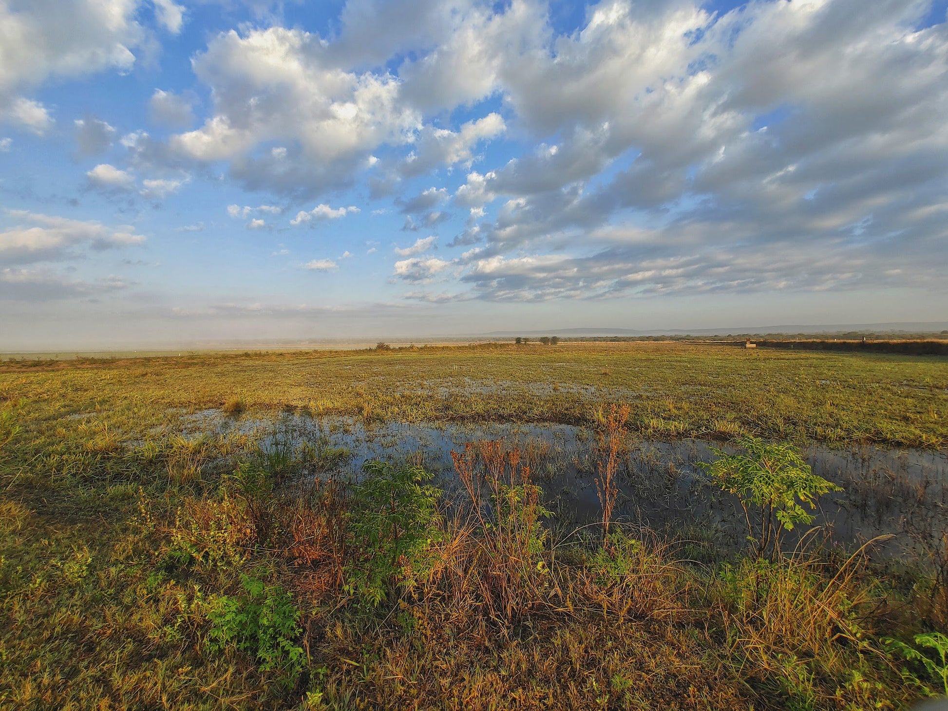  Vogelfontien Bird Hide