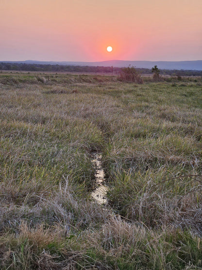  Vogelfontien Bird Hide