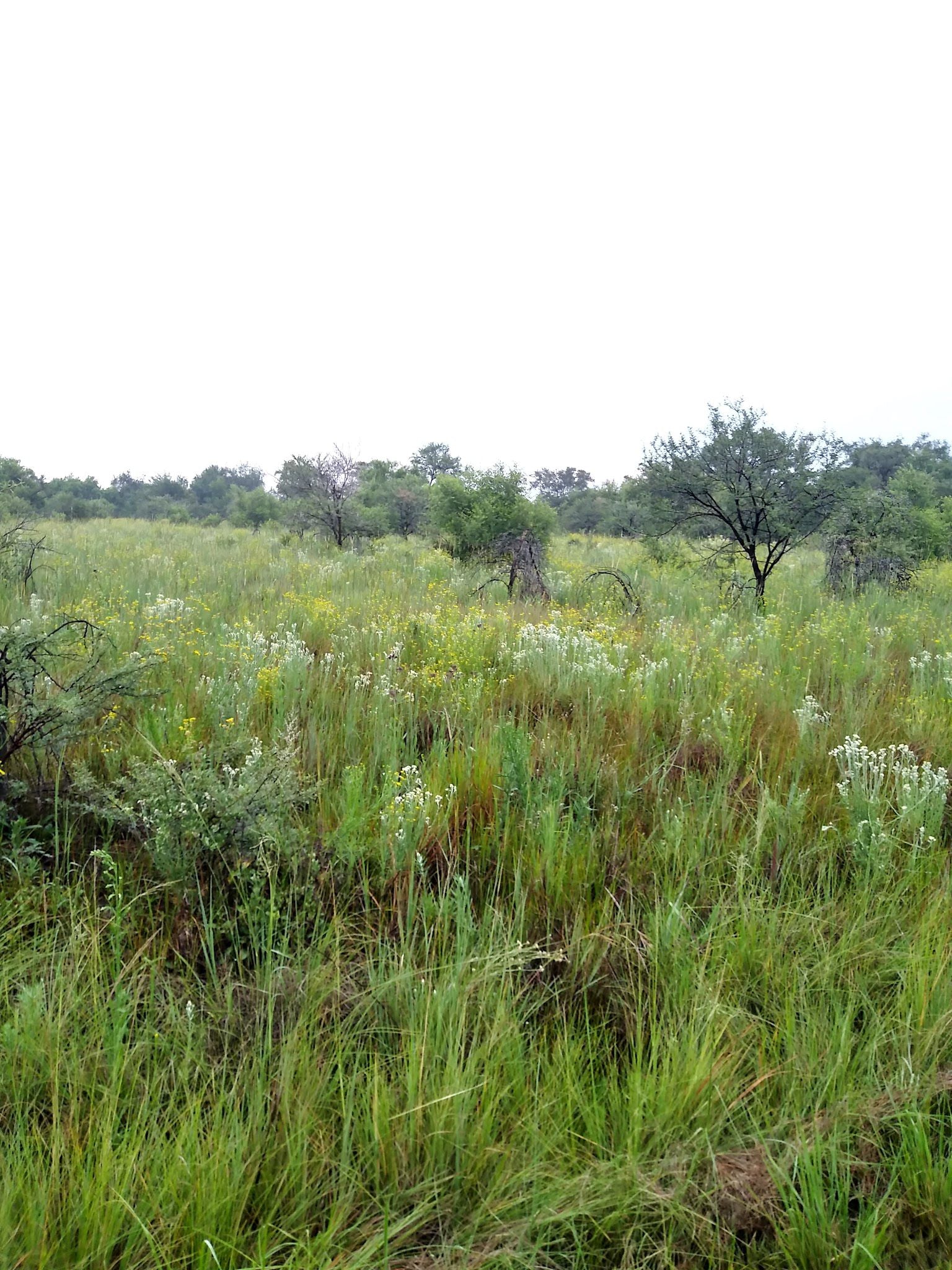  Vogelfontien Bird Hide