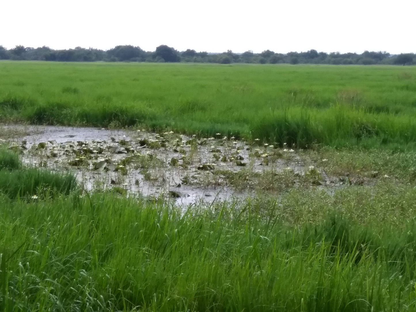  Vogelfontien Bird Hide