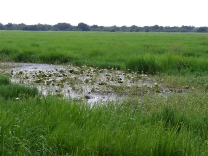  Vogelfontien Bird Hide