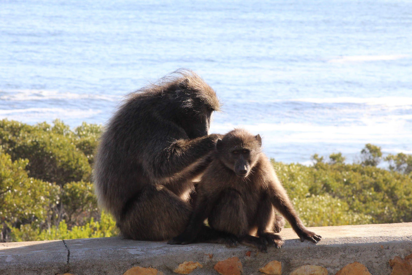  Voortrekker Park Resorts Strand