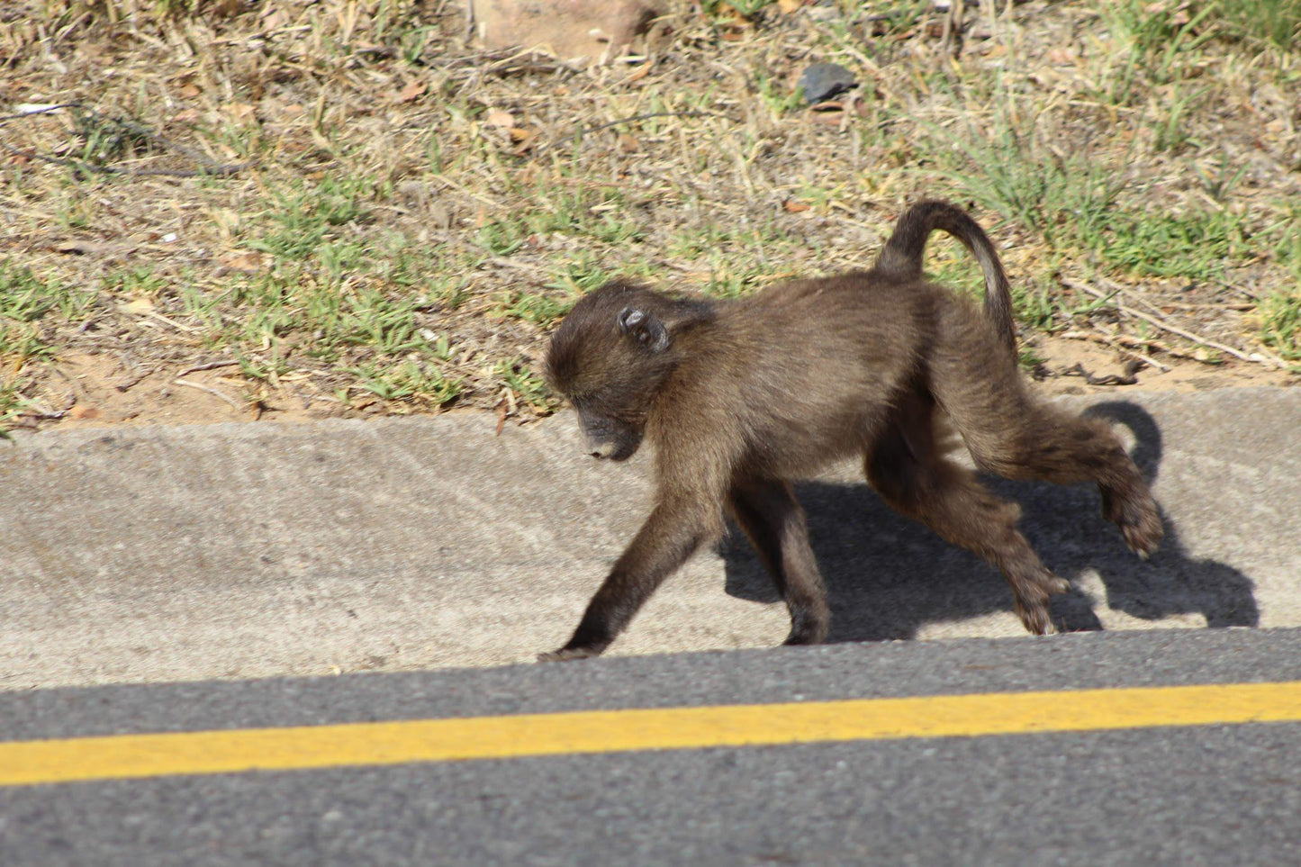  Voortrekker Park Resorts Strand