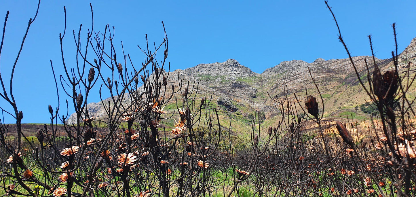  Vredehoek Quarry