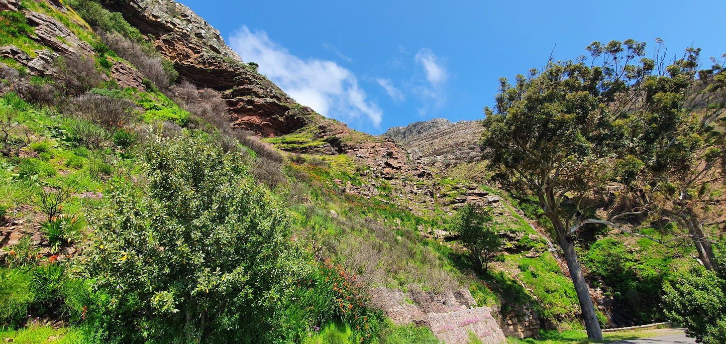  Vredehoek Quarry