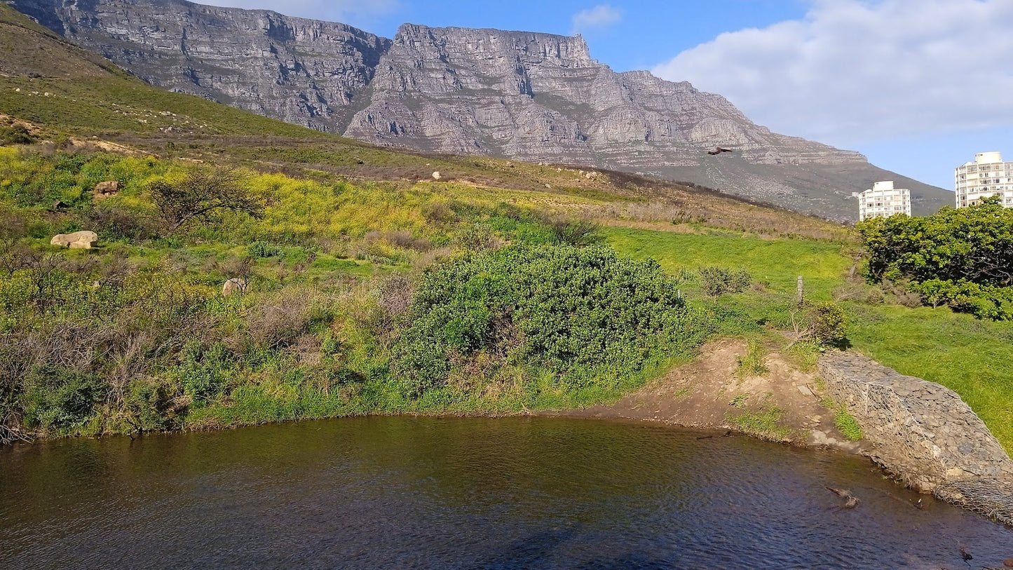  Vredehoek Quarry