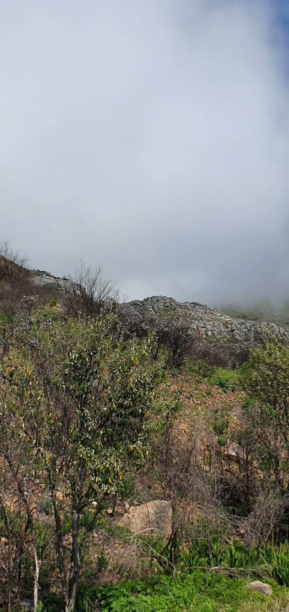  Vredehoek Quarry