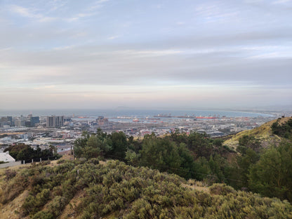  Vredehoek Quarry