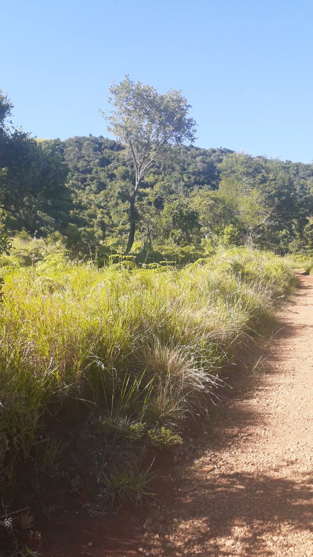  Vryheid Hill Nature Reserve