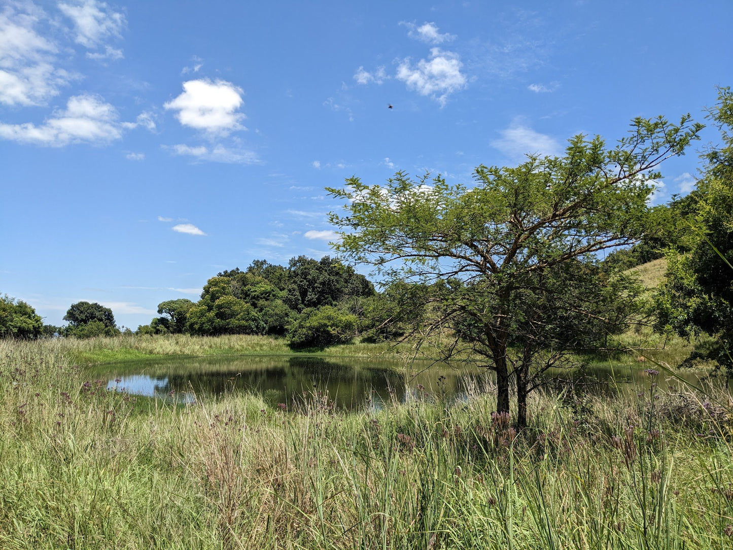  Vryheid Hill Nature Reserve