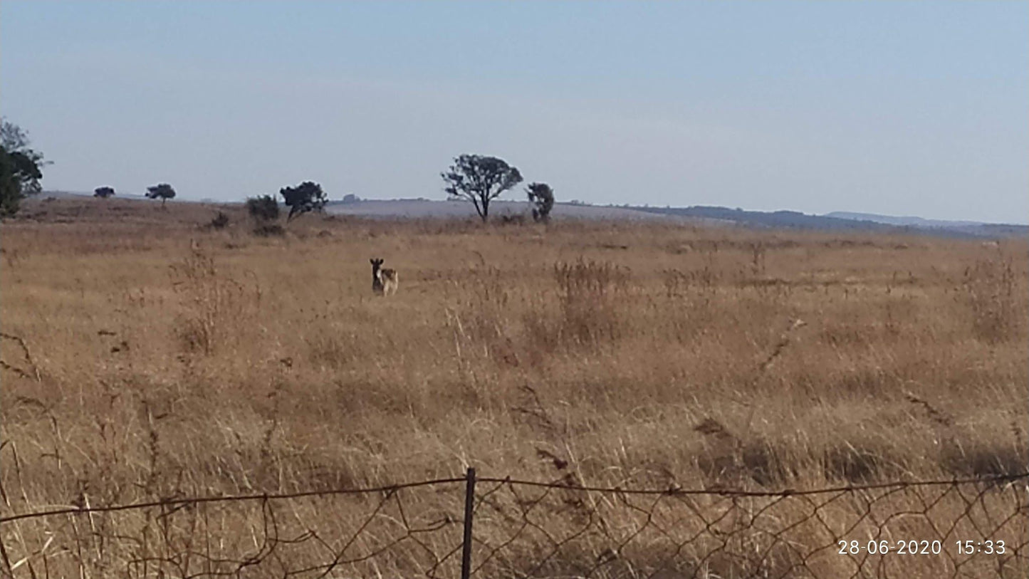  Vryheid Hill Nature Reserve