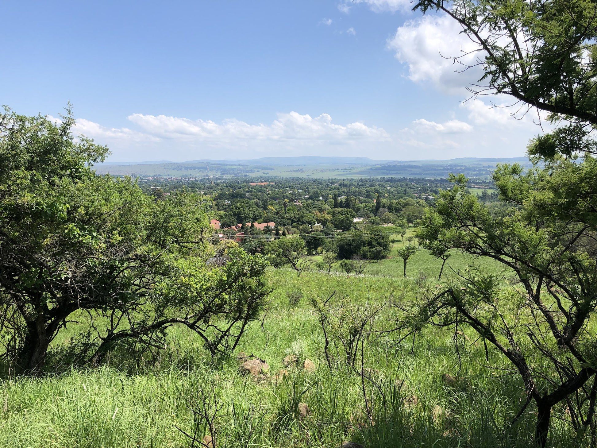  Vryheid Hill Nature Reserve