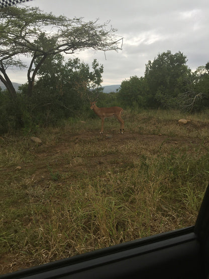  Vryheid Hill Nature Reserve