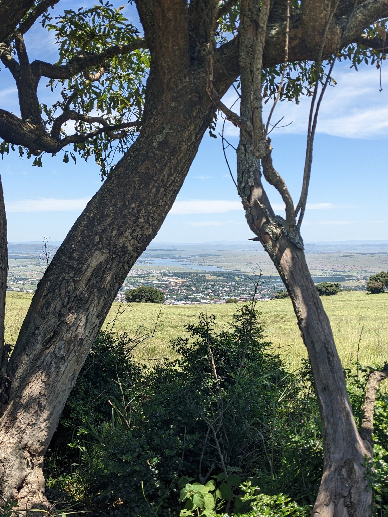  Vryheid Hill Nature Reserve