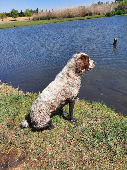  Walkhaven Dog Park