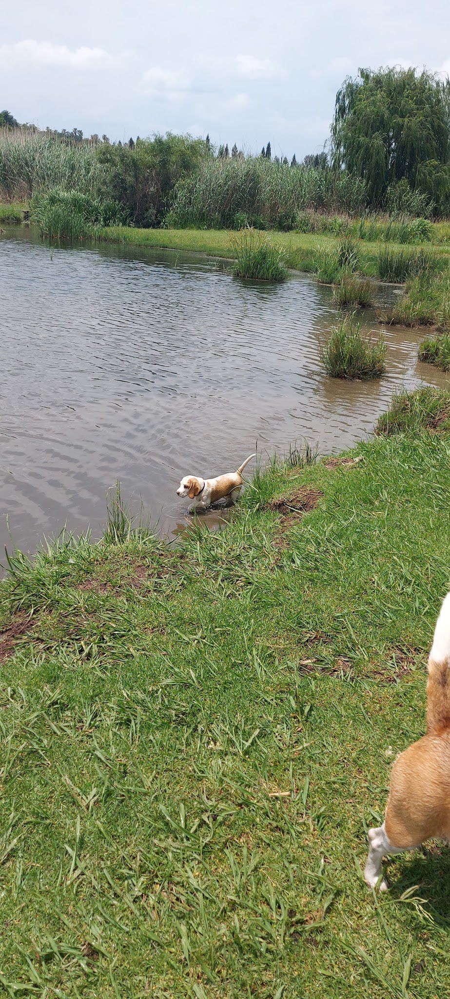  Walkhaven Dog Park