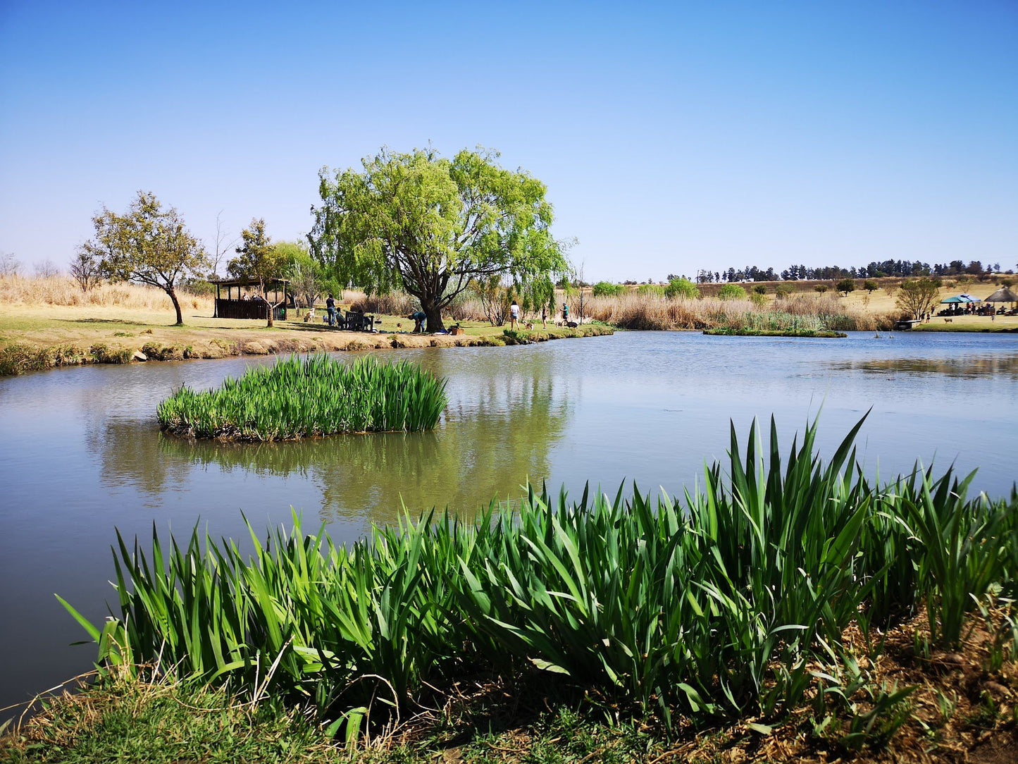  Walkhaven Dog Park