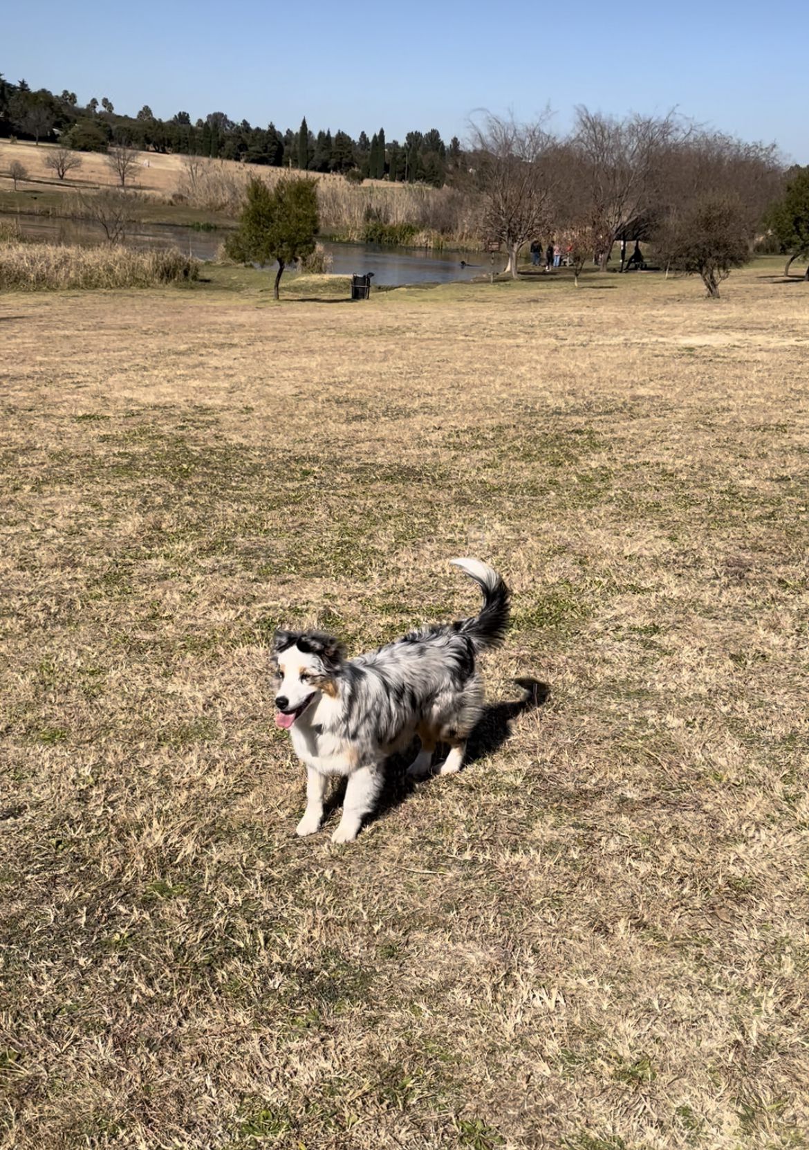  Walkhaven Dog Park