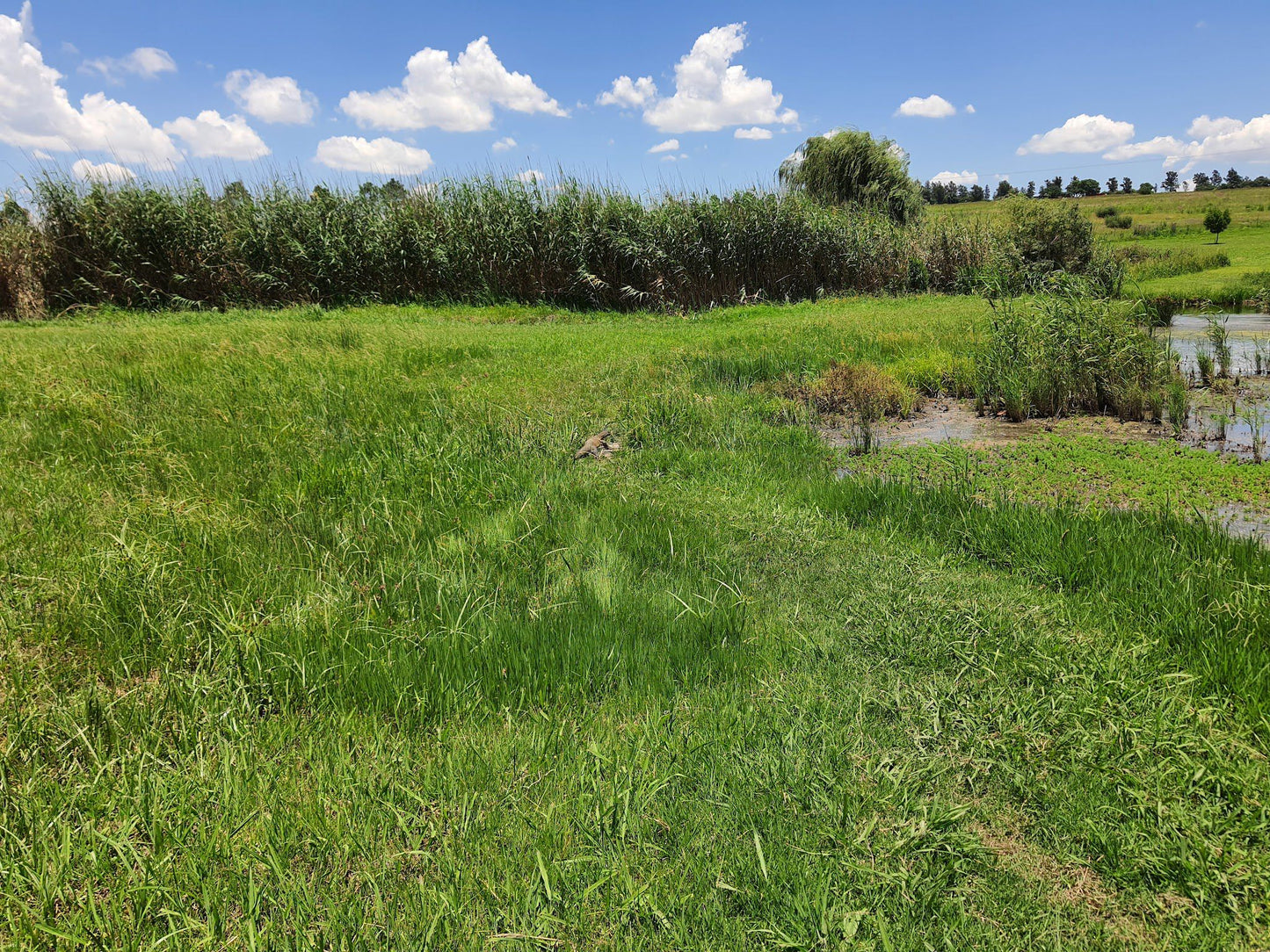  Walkhaven Dog Park