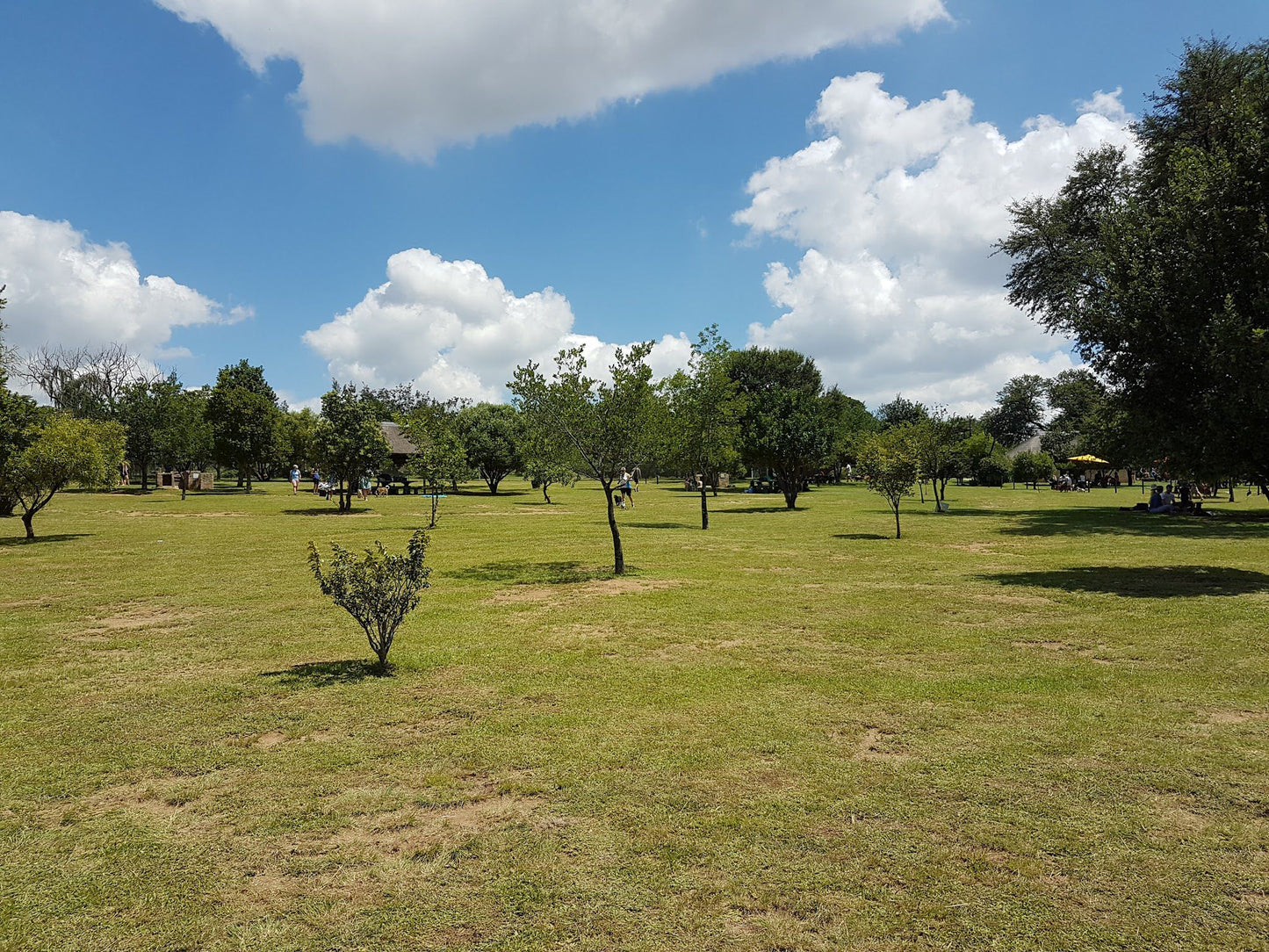  Walkhaven Dog Park