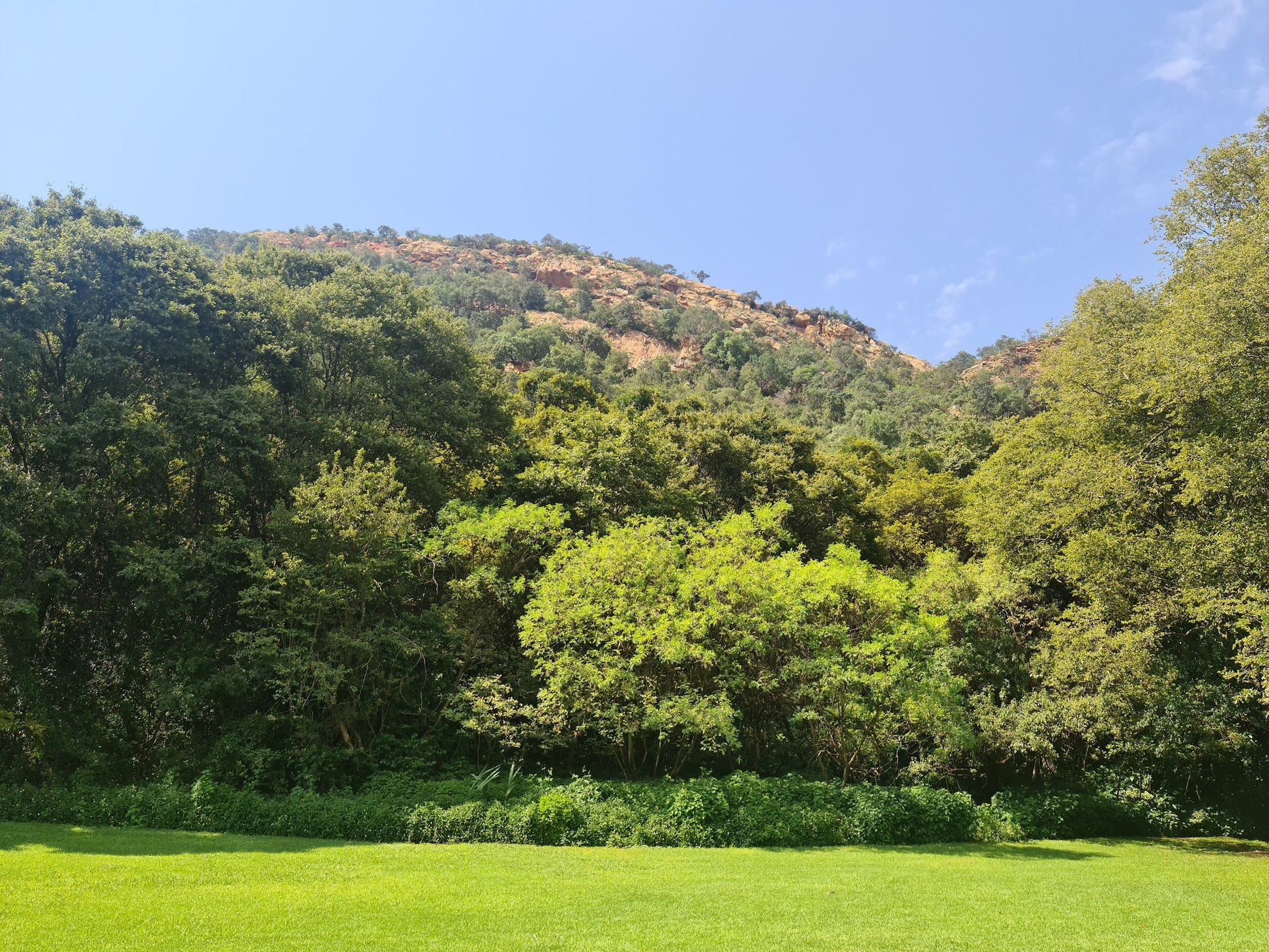  Walter Sisulu National Botanical Garden