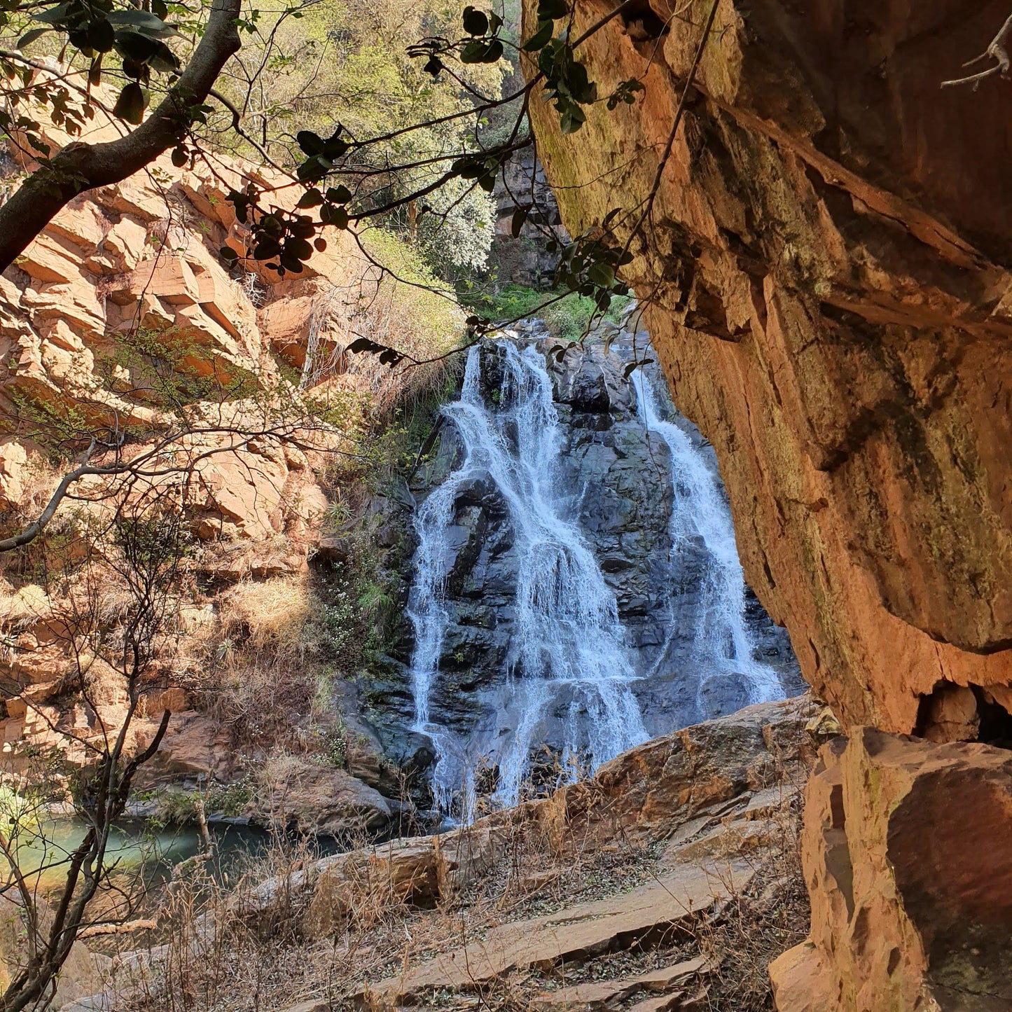  Walter Sisulu National Botanical Garden