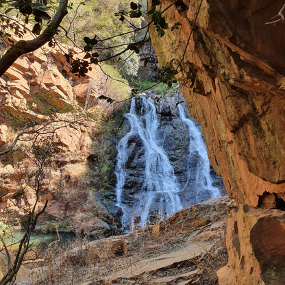  Walter Sisulu National Botanical Garden