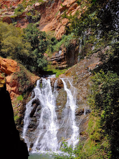  Walter Sisulu National Botanical Garden