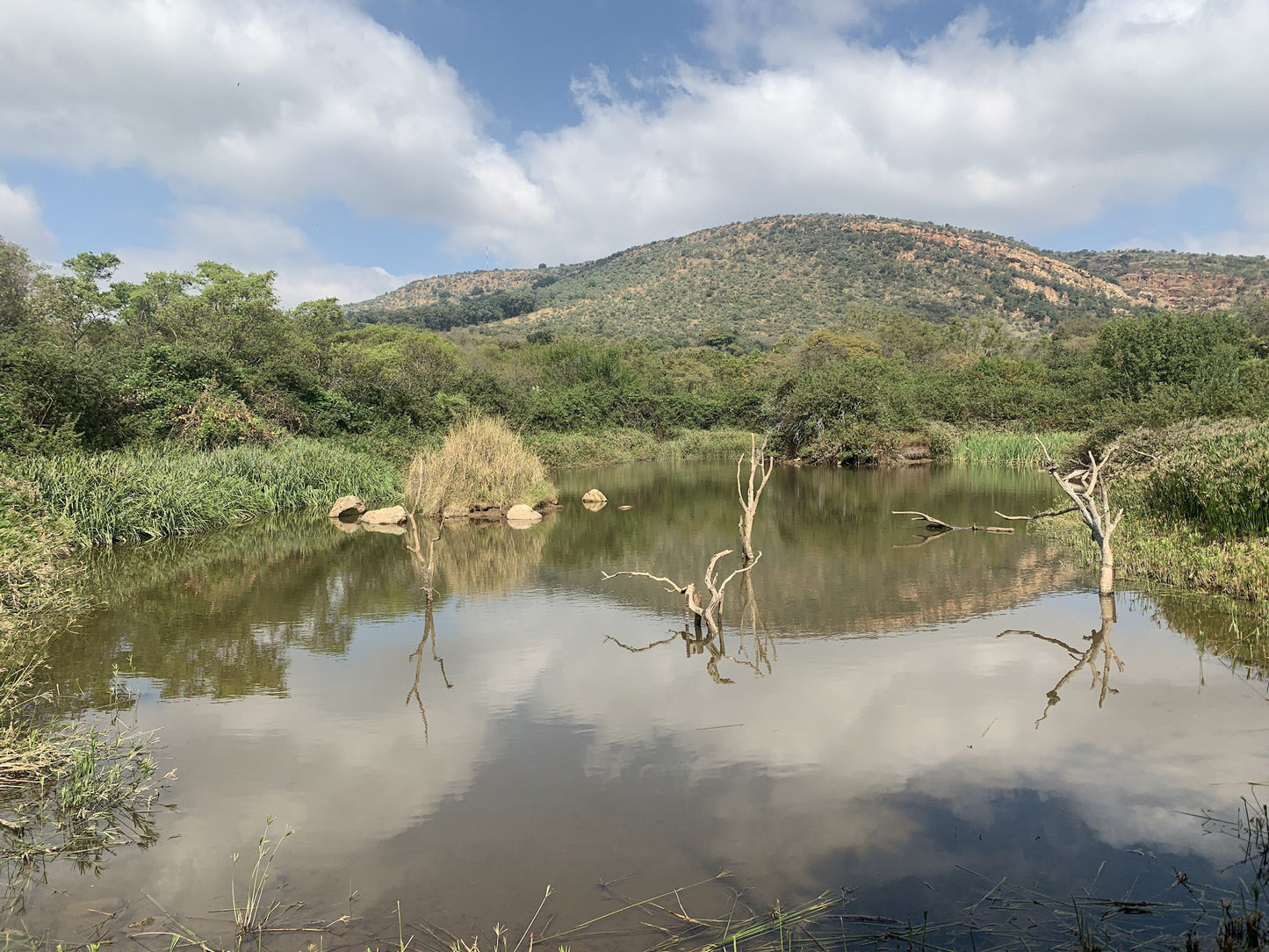  Walter Sisulu National Botanical Garden