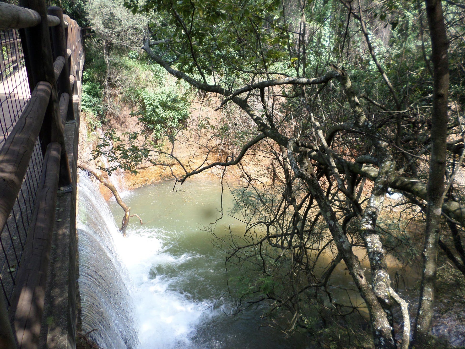  Walter Sisulu National Botanical Garden