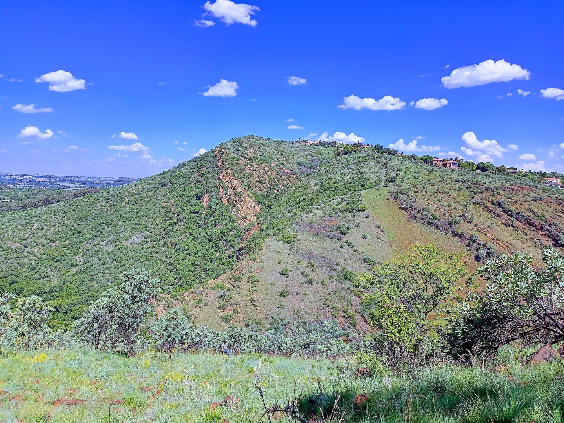  Walter Sisulu National Botanical Garden