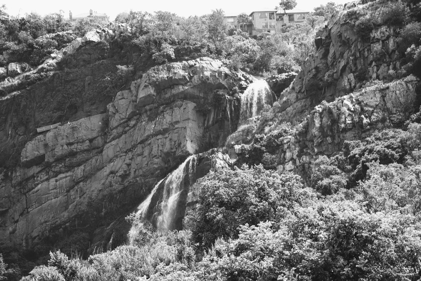  Walter Sisulu National Botanical Garden