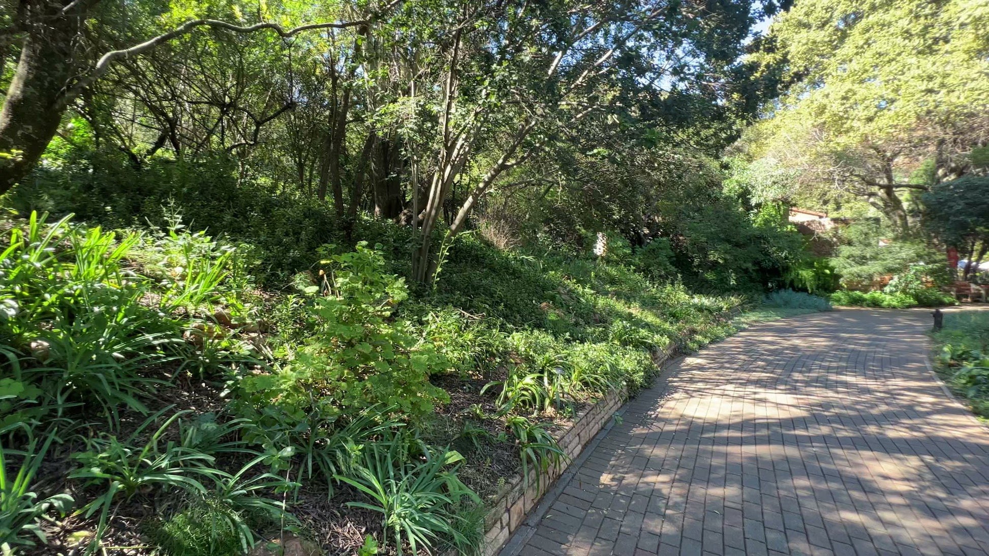  Walter Sisulu National Botanical Garden