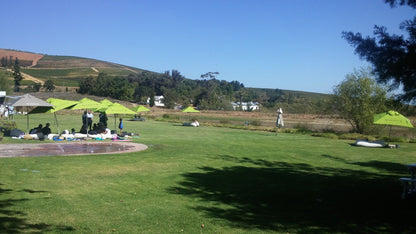  Warwick Wine Estate