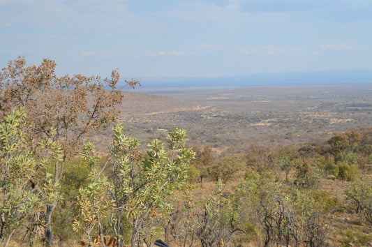 Waterberg Biosphere