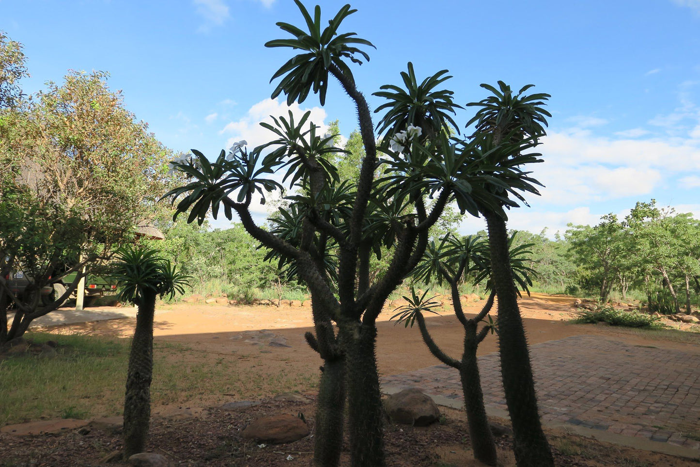 Waterberg Biosphere