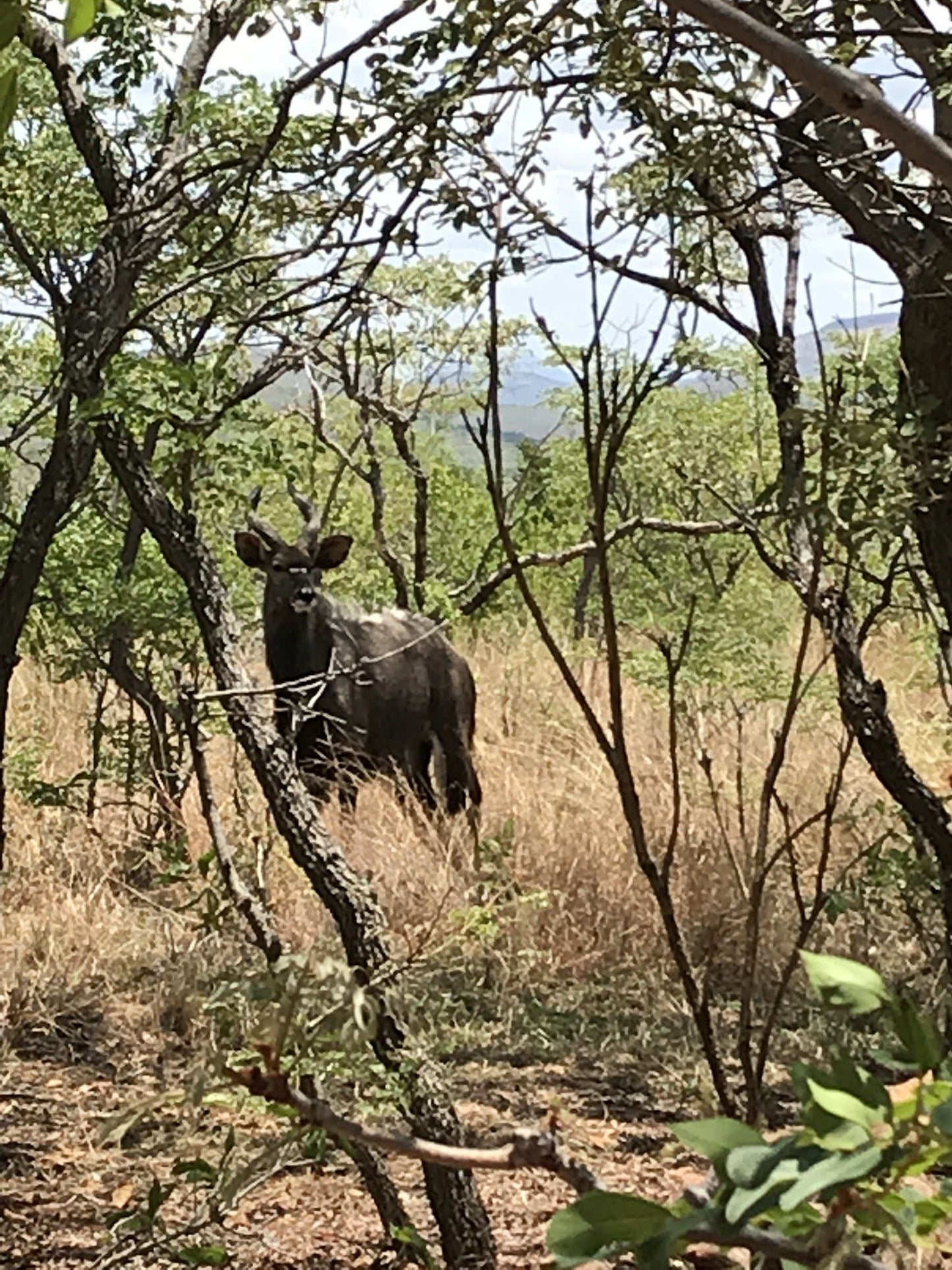 Waterberg Biosphere