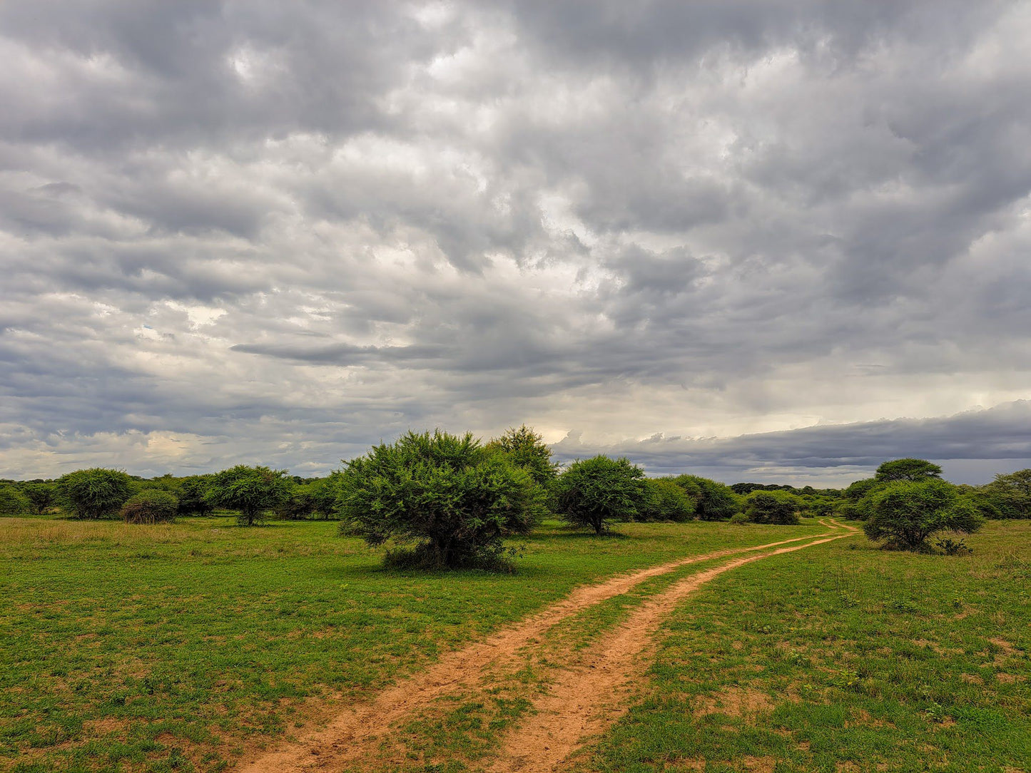 Waterberg Biosphere