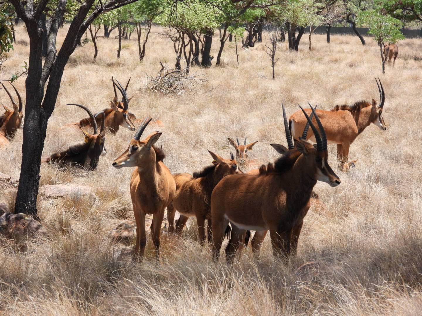 Waterberg Biosphere