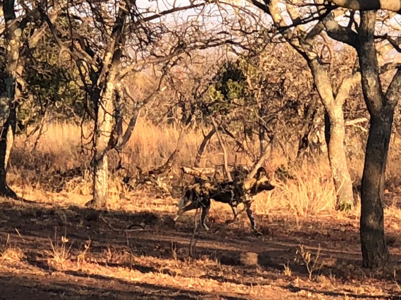 Waterberg Biosphere