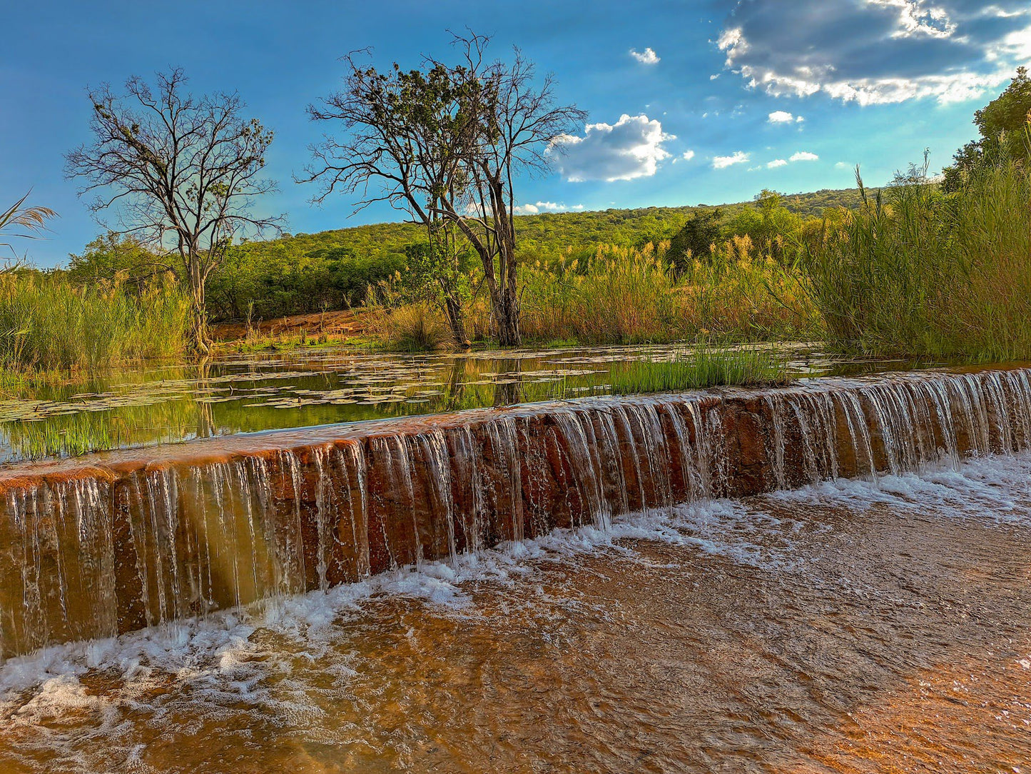 Waterberg Biosphere