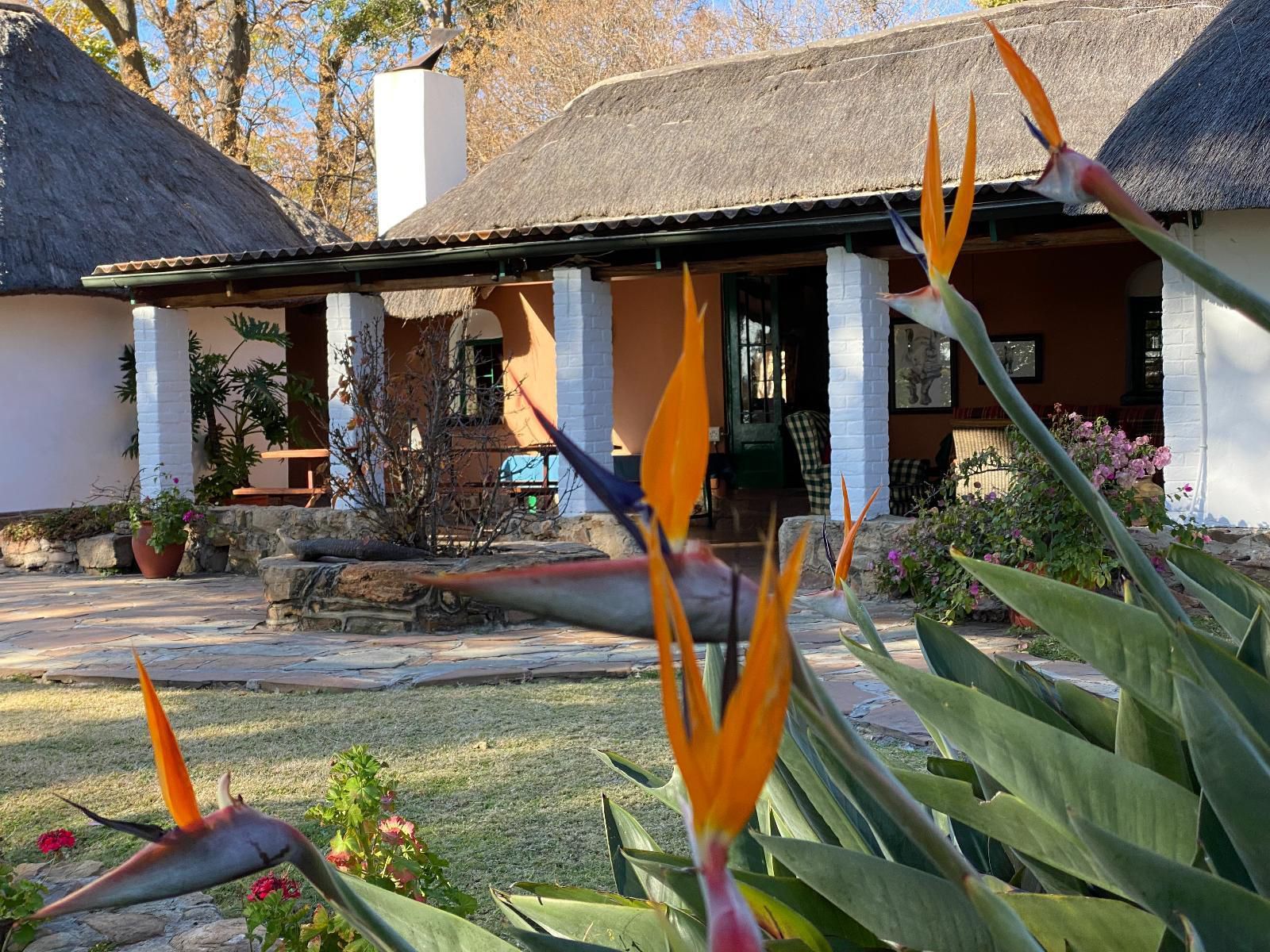 Waterberg Cottages Vaalwater Limpopo Province South Africa House, Building, Architecture, Plant, Nature