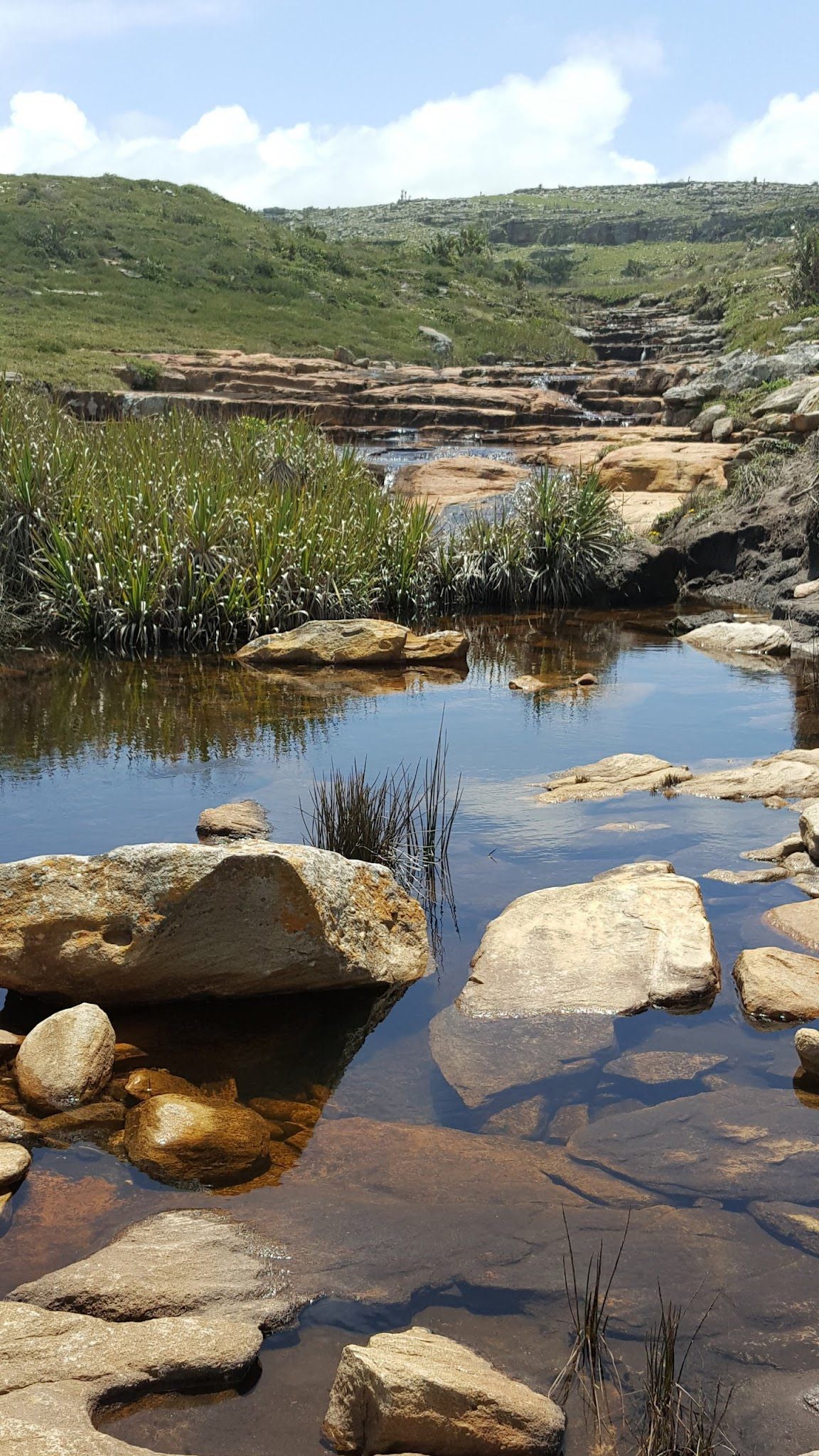  Waterfall Bluff