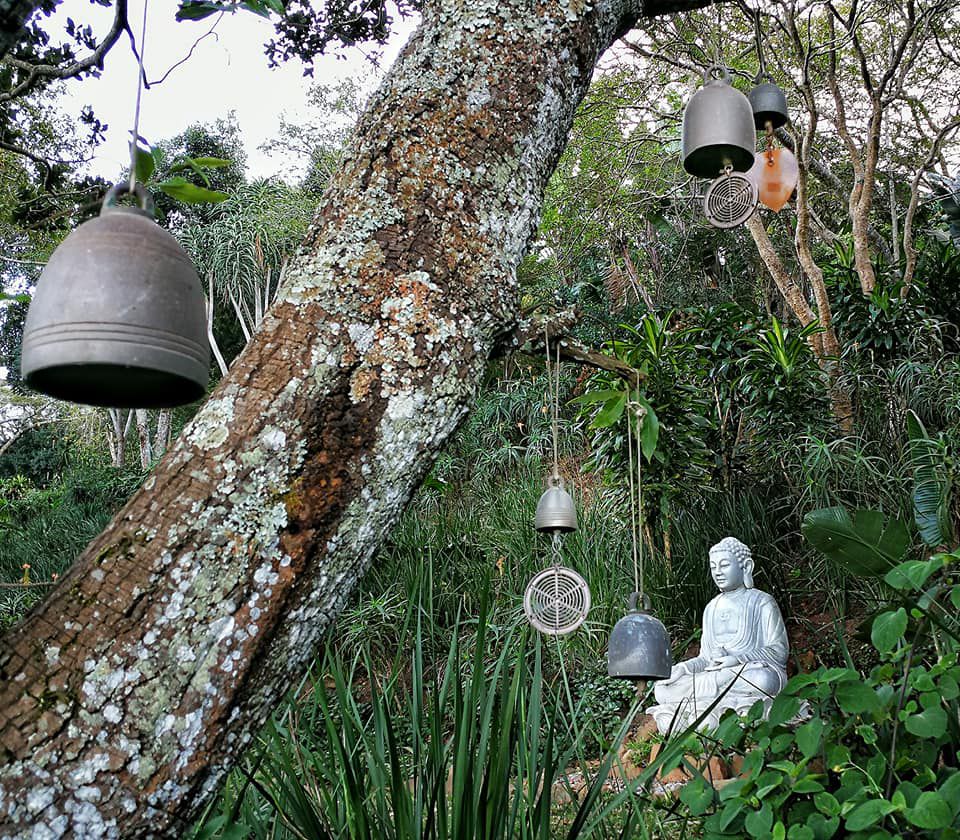  Waterfall Retreat & Environmental Centre