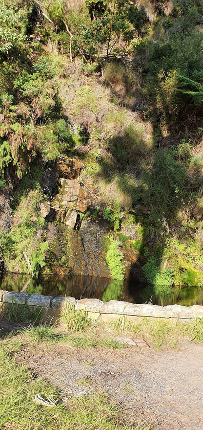  Waterfall and Dam on Table Mointain