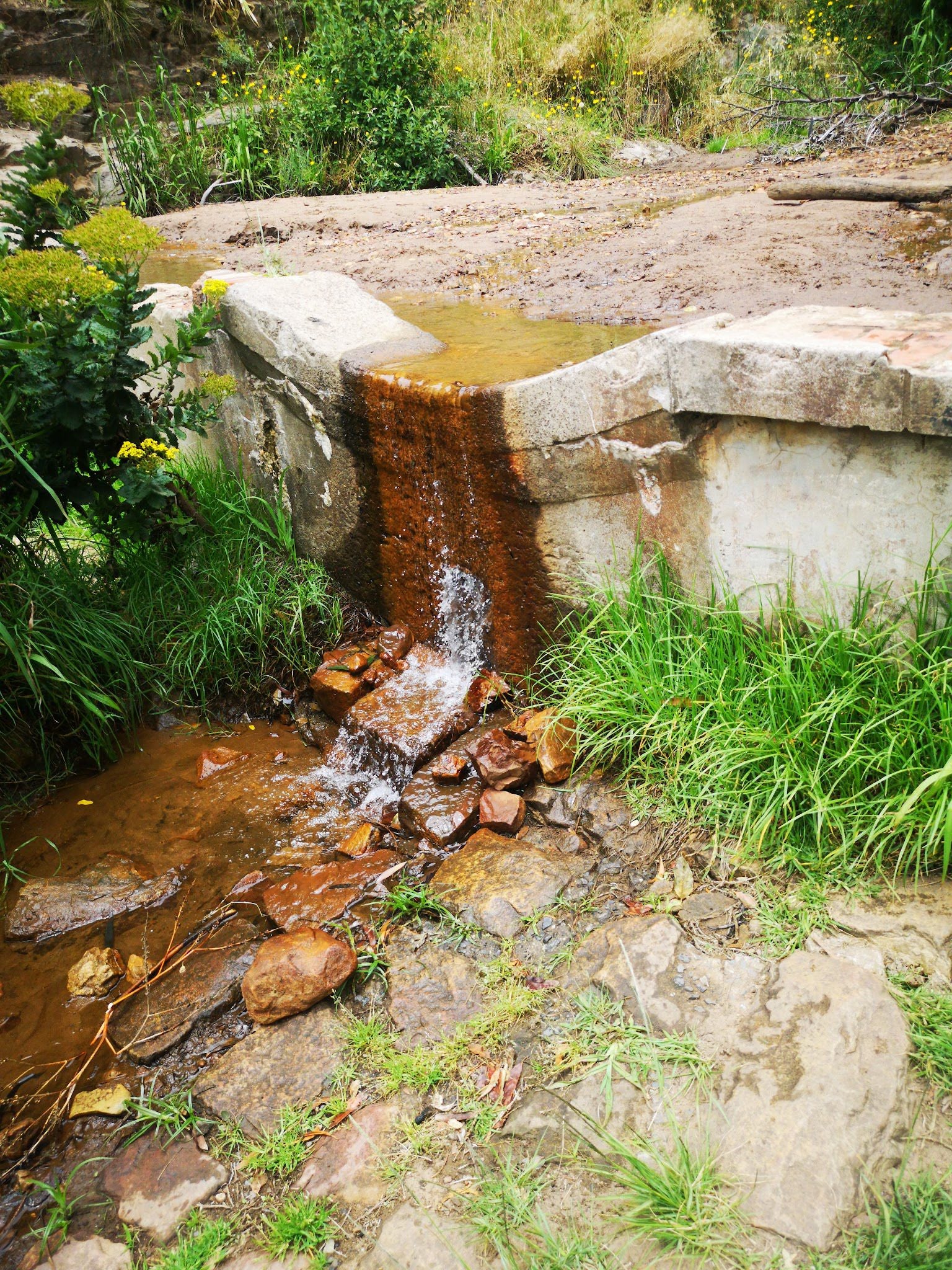  Waterfall and Dam on Table Mointain