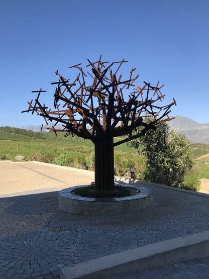  Waterkloof Wine Estate