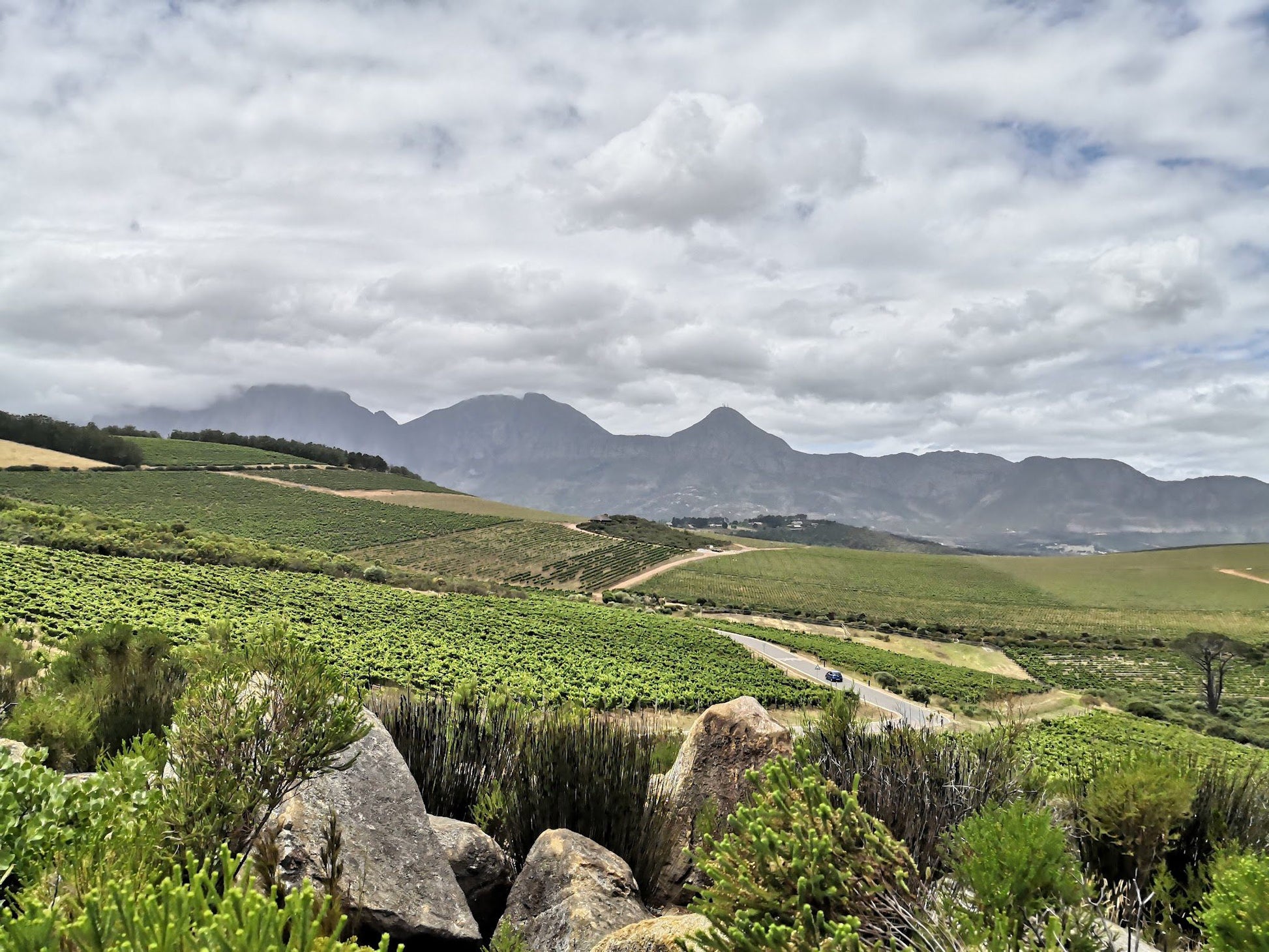  Waterkloof Wine Estate